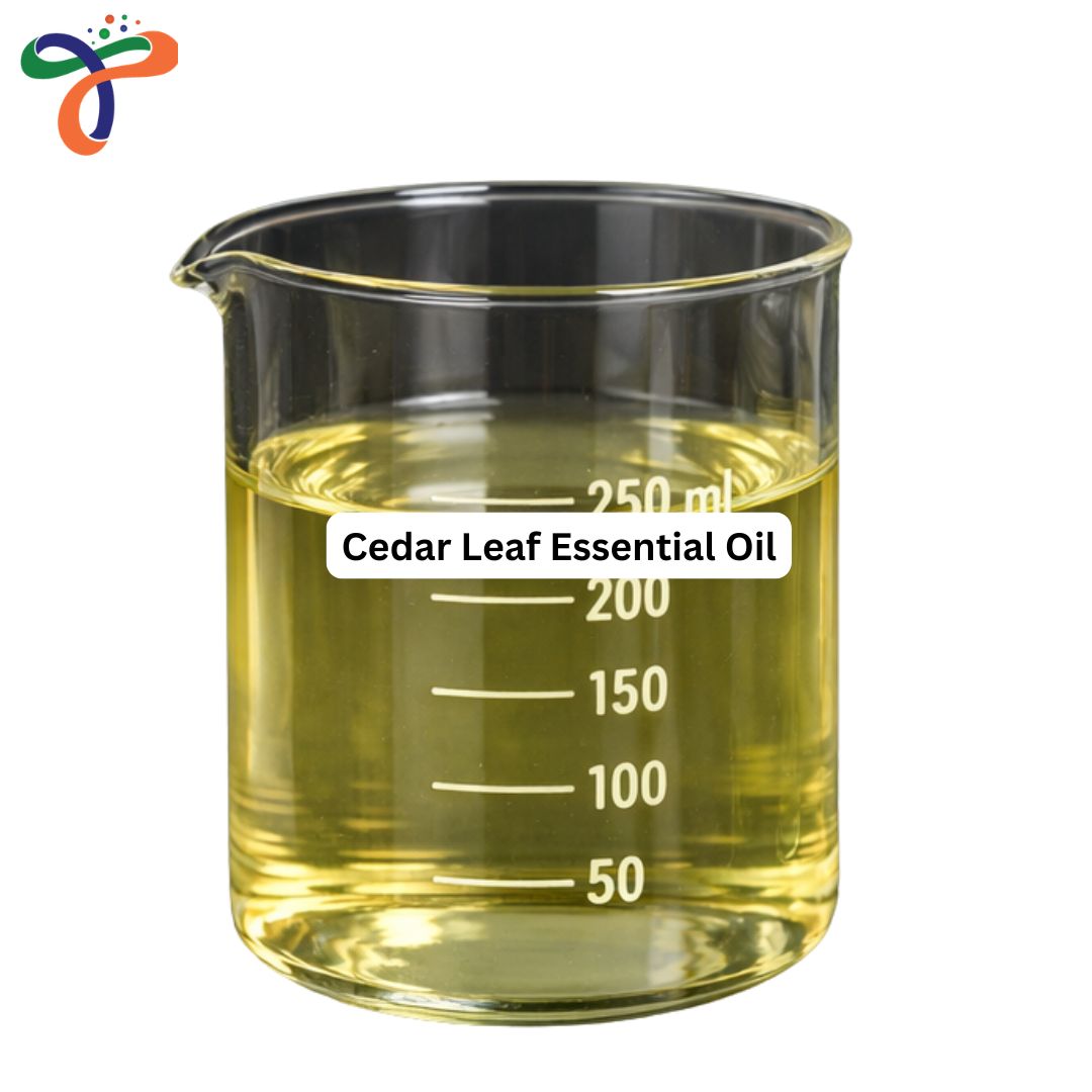 Cedar Leaf Essential Oil